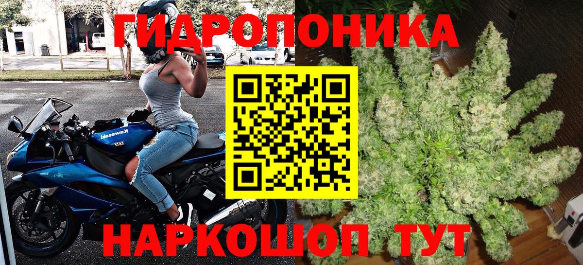 Реж  Канабис сатива  Марихуана план  Вход с VPN  Шишки марихуана индика 